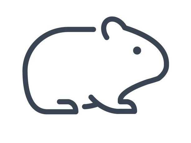 Credit: sharpnose/ Adobe Stock